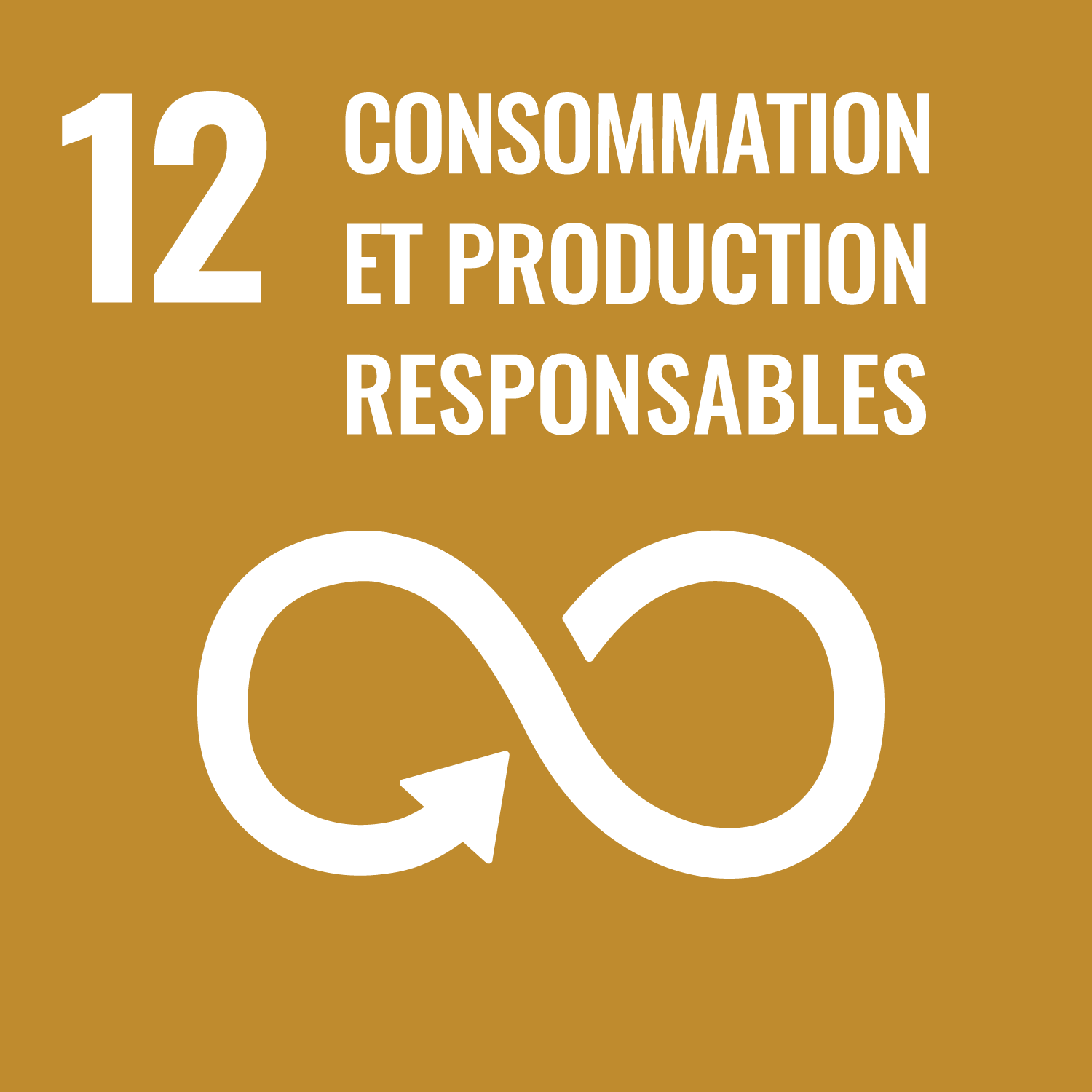 #12 Consommation et production responsables